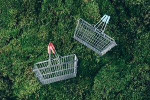 **Alt text:** Cestini della spesa su un prato verde, rappresentazione della sostenibilità ambientale e dei consumi ecosostenibili.