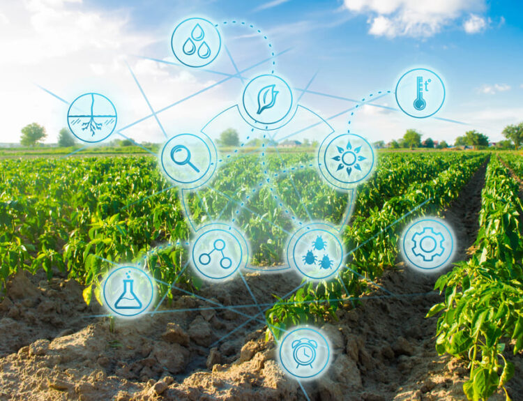 Innovazioni del food tech 2024 applicate all'agricoltura: campo coltivato con icone tecnologiche che rappresentano soluzioni sostenibili e avanzate.